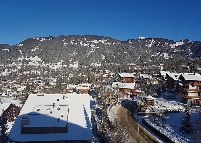 166 Le Bristol Lejlighed Villars-sur-Ollon