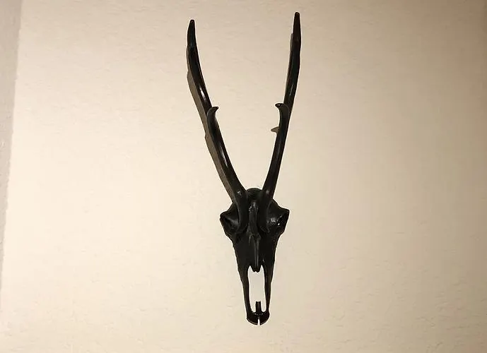 アパート 166 Le Bristol